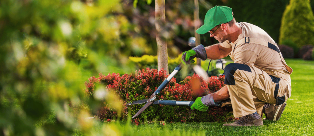 Gardening & Landscaping in Adelaide